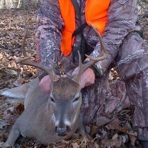 Meet your Posher, Clinton